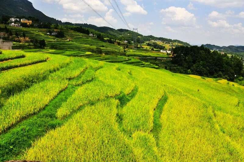 大庞村富郦城最新动态,大庞村富郦城最新动态，乡村振兴与都市发展的融合之路