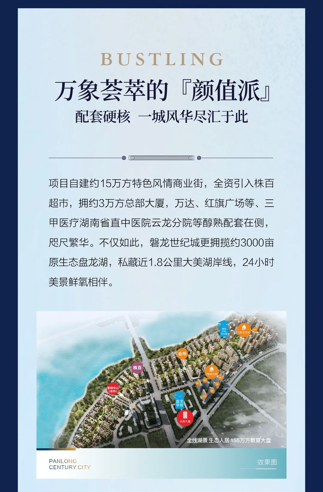 2024新澳免费资料40期,揭秘2024新澳免费资料40期，深度解析与独家预测