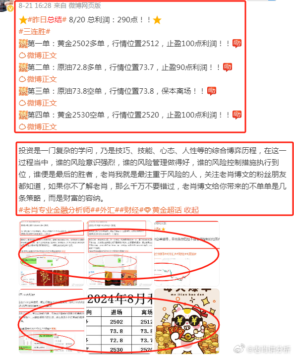 新澳门2024管家婆正版资料,新澳门2024管家婆正版资料，探索与解读