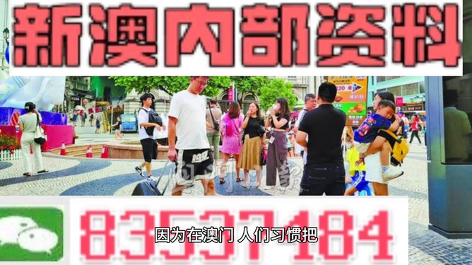 2024新澳门精准正版免费资料,探索新澳门，正版资料的精准价值之旅（2024年展望）