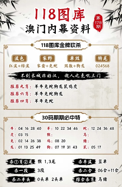 494949澳门今晚开什么,探索澳门今晚的开彩奥秘，494949背后的故事